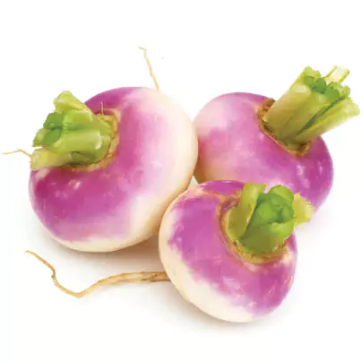 404x404-01-66f871a0cb606-66f871a8aa24f