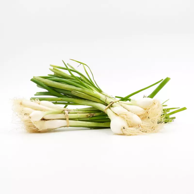 oignon-blanc-botte-66f84bda282fa (1)