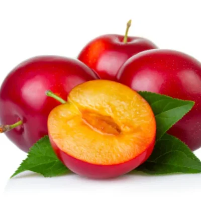 Prune Rouge – البرقوق أحمر